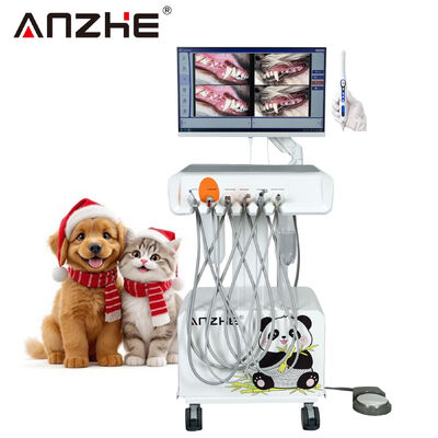 Portable Veterinary Dental Unit with HD Intraoral Camera All-in-One Computer and Silent Oil-Free Air Compressor